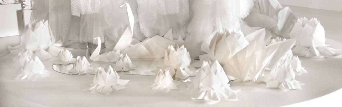 <span style="font-weight: bold;">Wedding & Fashion </span>